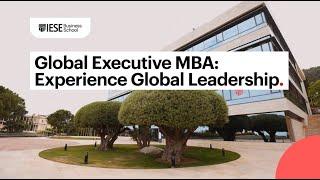 Global Executive MBA Experience global leadership