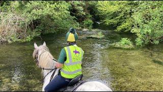 Riding Training for Captain Albert - The One-Eyed Cob