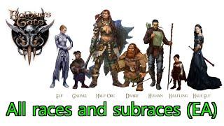 Baldurs Gate 3 early access - Races and subraces