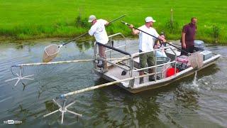 ELECTROFISHING My FARM Pond SURPRISING FIND