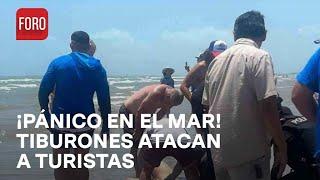 Ataque de tiburones deja 12 turistas lesionados en Texas - Las Noticias