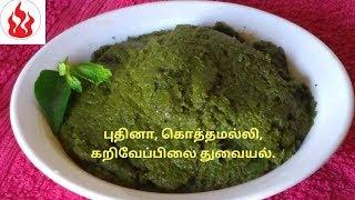 A Perfect side dish for Biryani  புதினா கொத்தமல்லி கறிவேப்பிலை துவையல்  Theni Samayal