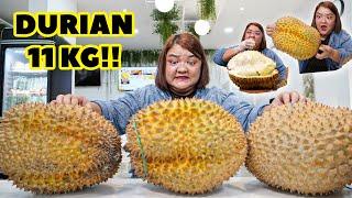 KLENGER MABOK MAKAN DURIAN RAKSASA 11 KG