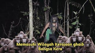 Ketika Prajurit Kera Menampakan diri di Hutan ini