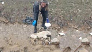 No One Thought Shes Alive After A Day In A Ditch But She Made A Miracle Recovery Afterward...