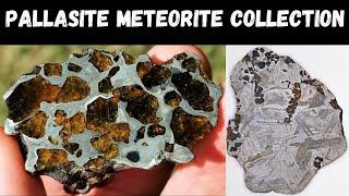 Pallasite Collection Admire Seymchan Sericho Imilac Esquel -Collecting Meteorites Pallasites Space