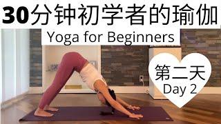 【30分钟初学者的瑜伽课程 Day 2】零基础瑜伽入门系列课程  Yoga for Beginners Series #2