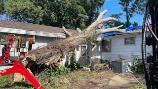 Tree fell on this house and severely damaged it