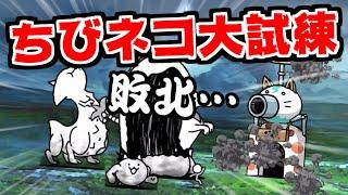 【にゃんこ大戦争】ちびネコ大試練ってなんだ！？何も分からないが早速挑戦してみた！【本垢実況Re#1631】