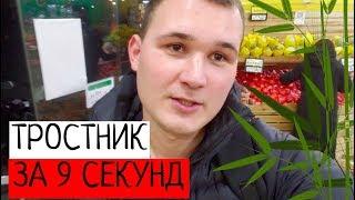 САХАРНЫЙ ТРОСТНИК ЗА 9 СЕКУНД  НИКИТА ТИХОНОВ