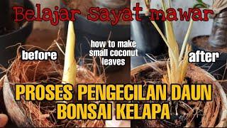 Belajar sayat mawar ⁉️ how to make small coconut bonsai leaves