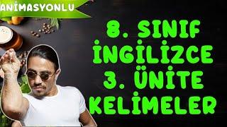 8. SINIF İNGİLİZCE 3.Ünite Kelimeleri