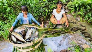 The girl who guided the fishing planet used bamboo as a fish trap to bring in many fish