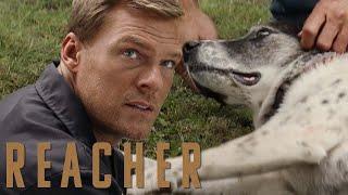 Reacher Rescues a Mistreated Dog  Reacher