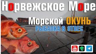 Морской Окунь • Мольва • Рыбалка в отвес • Русская Рыбалка 4 • Норвежское Море