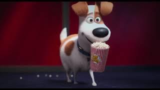 The Secret Life of Pets 2 at ODEON Cinemas