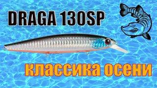 DRAGA 130SP  классика осени .