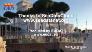 Is EUDAT Blue? We asked Dick Schaap SeaDataCloud Technical Coordinator