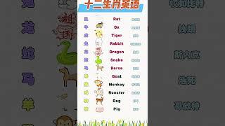 488 零基础英语学习#开学第一课#你好新学期#英语