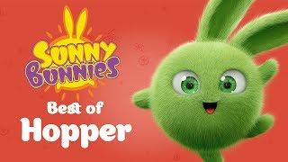 SUNNY BUNNIES - Hoppers Top 10 Mischievous Moments  Cartoons for Children