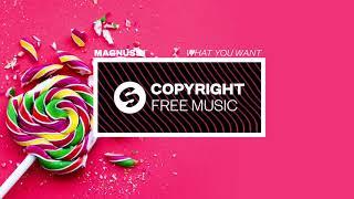 Magnuss - What You Want Copyright Free Music
