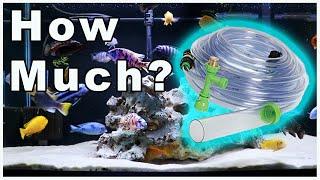 Fish Tank Water Changes 101 How Much Water Should You Change in Your Aquarium?