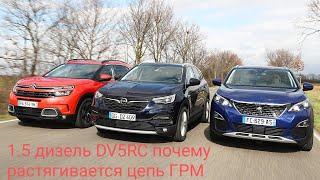 1.5 дизель  DV5RC почему растягивается цепь ГРМ