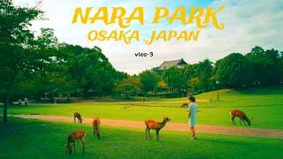 Japan Vlog  3  Nara Deer Park  Osaka Japan 2024