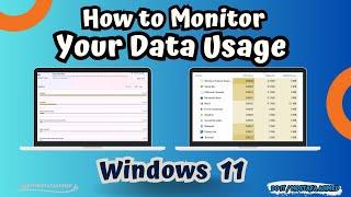 How to Monitor Your Data Usage on Windows 11 Tutorial