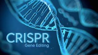 Can We Edit Our DNA By CRISPR Gene Editing?