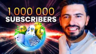 My Budgie journey to 1 million subscribers