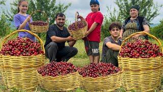 Rustic Charm In Far From Civilization Harvesting Cherry and Cooking Pilaf  Cherry Compote and Jam