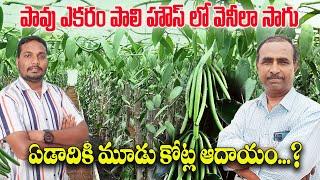 వెనీలా సాగు తో కోట్లల్లో ఆదాయం  Most Expensive Spice Vanilla Farming  AgriTech Telugu