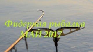 Фидерная рыбалка май 2017