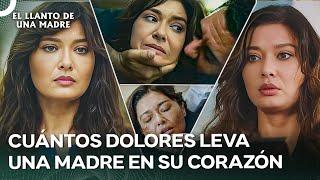 La Historia De Madres E Hijos Que Te Hará Llorar  El Llanto De Una Madre