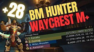 BM Hunter +28 key?  Waycrest Manor Walkthrough  WoW Dragonflight 10.2 - Season 3