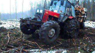 Belarus Mtz 1025 in wet forest difficult conditions