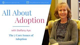 7 Core Issues of Adoption