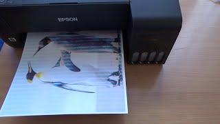 Как починить принтер если он печатает полосами. На примере EPSON.
