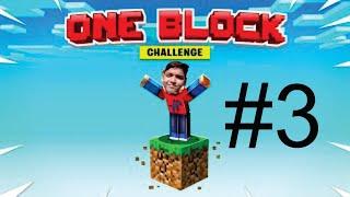 Minecraft Hard Core One Block Challenges Complete #2 #minecraft