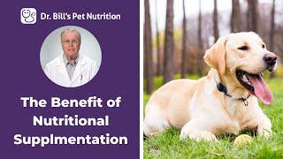 The Benefits of Pet Nutritional Supplementation  Dr. Bills Pet Nutrition