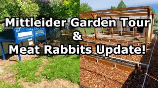 Mittleider Garden Tour & Meat Rabbits Update