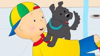 Caillou and the Dog  Caillou Cartoon