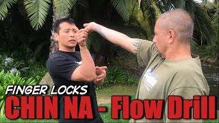 CHIN NA Kung Fu - Flow Drills - FINGER Locks and Reversals