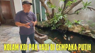 KOLAM KOI PAK YADI DI CEMPAKA PUTIH