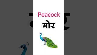 10 Birds name  Name of birds  पक्षियों के नाम  pakshiyon ke naam  Birds name #shorts