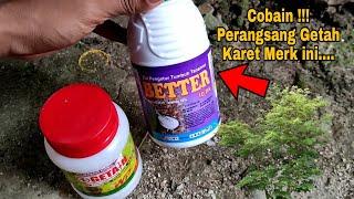 Uji Obat Perangsang Getah Karet Merk Better