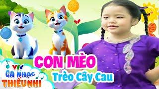 Meo Meo  Ta Là Mèo Trèo Cây Cau - Đông Nghi  Ca Nhạc Thiếu Nhi Vui Nhộn  Hoạt Hình Con Mèo