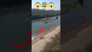 Scary River Monster Caught  #viralvideo #viral #viralshorts