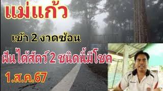 แม่แก้ว ฝันดีมากโค้งส่งท้าย ฝันได้สัตว์ 2 ชนิดนี้ 1.ส.ค.67